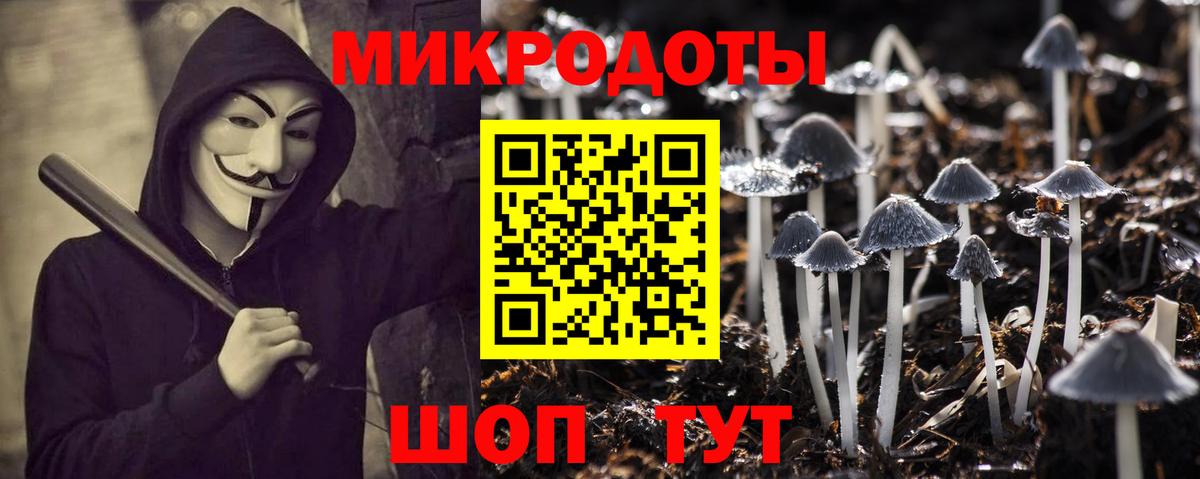 Галлюциногенные грибы Psilocybine cubensis Егорьевск